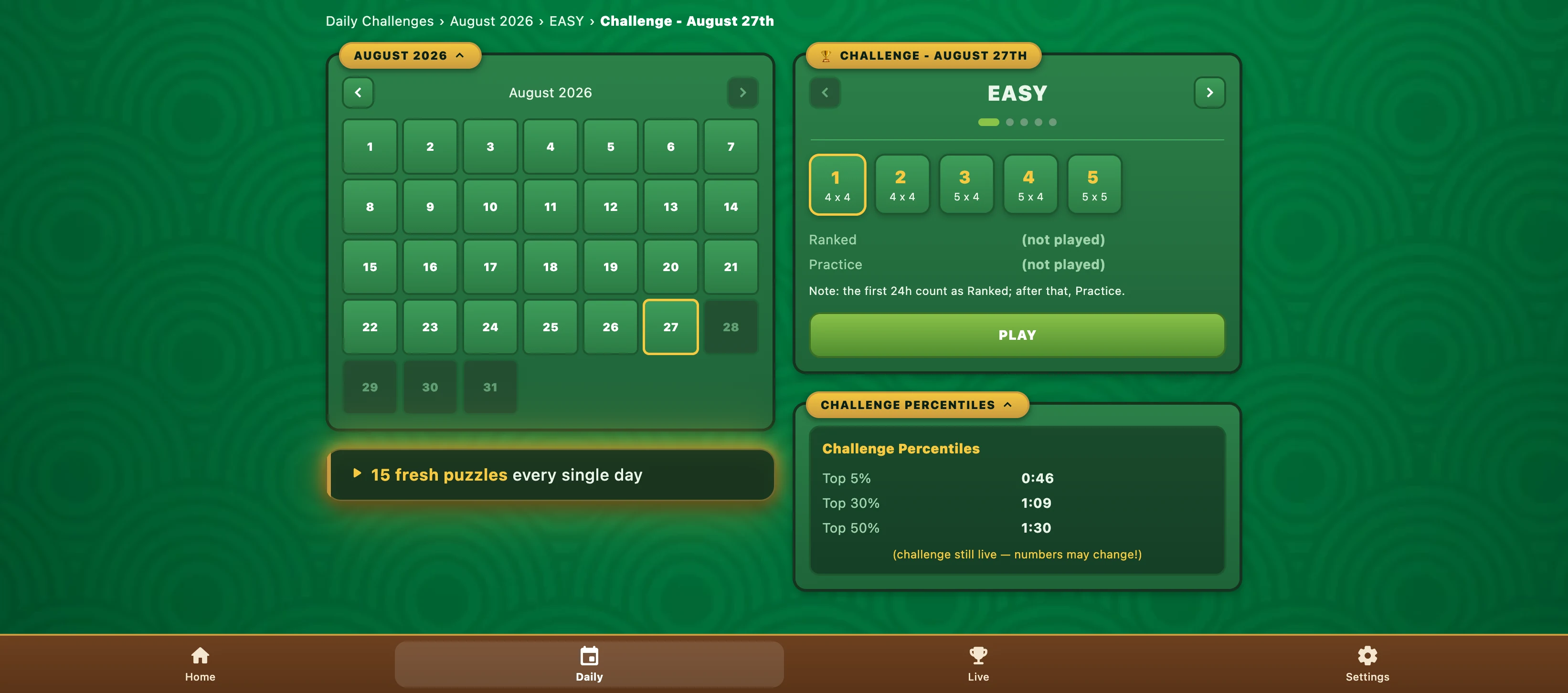Einstein's Riddle Logic Puzzle screenshot