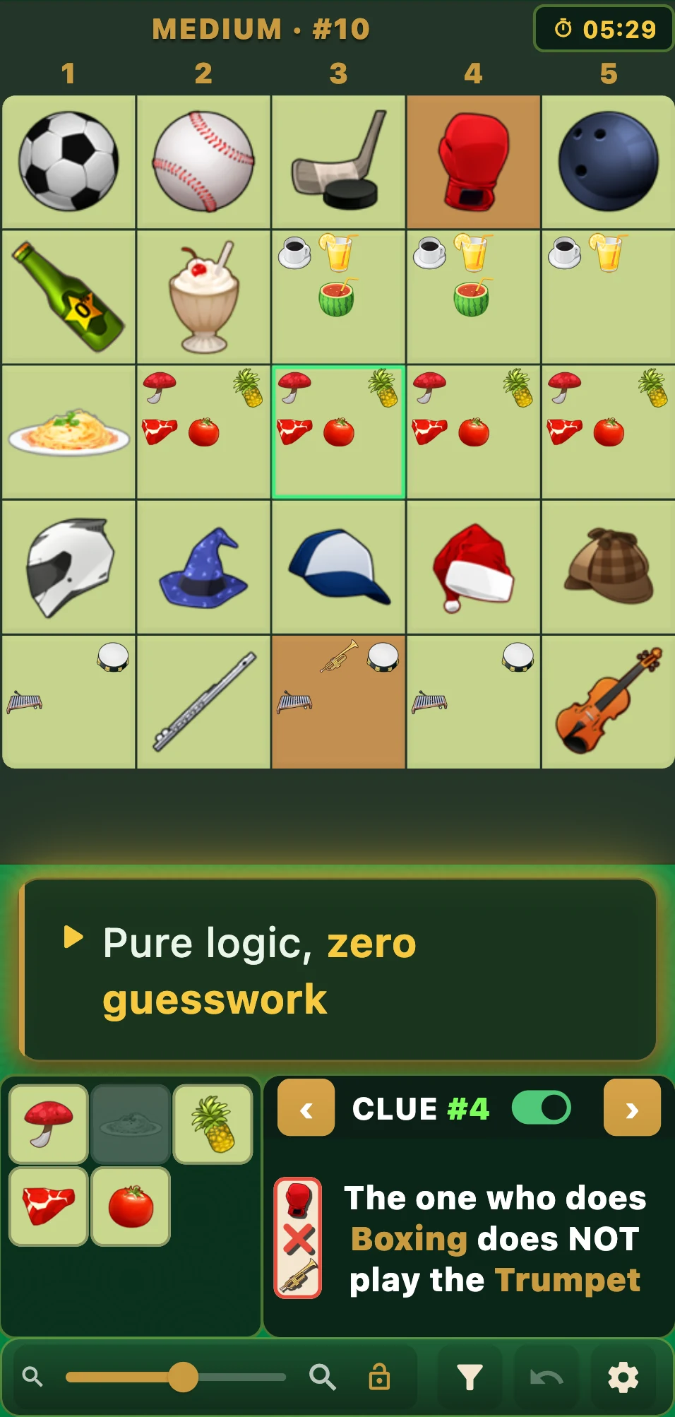 Einstein's Riddle Logic Puzzle screenshot