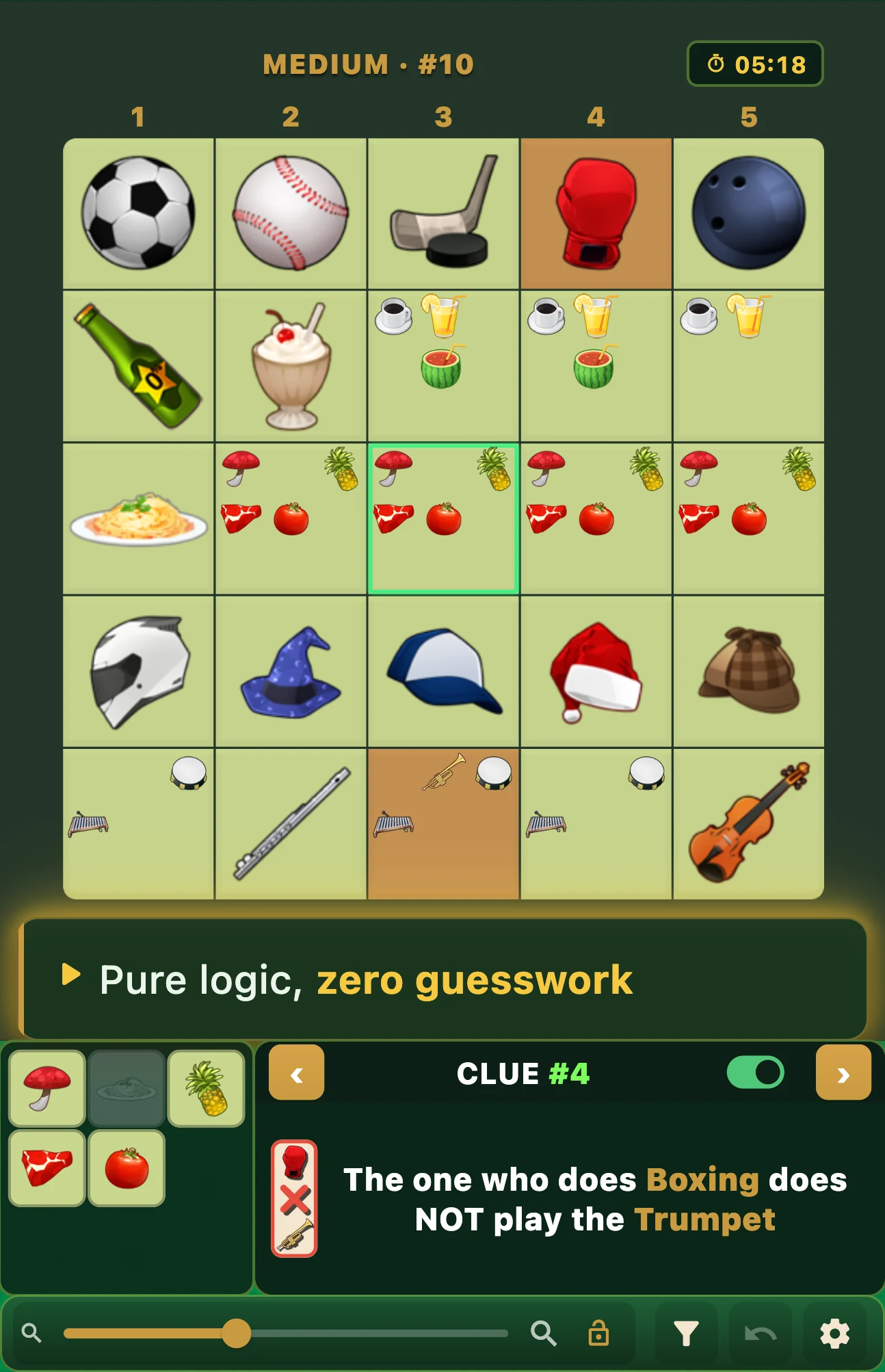 Einstein's Riddle Logic Puzzle screenshot
