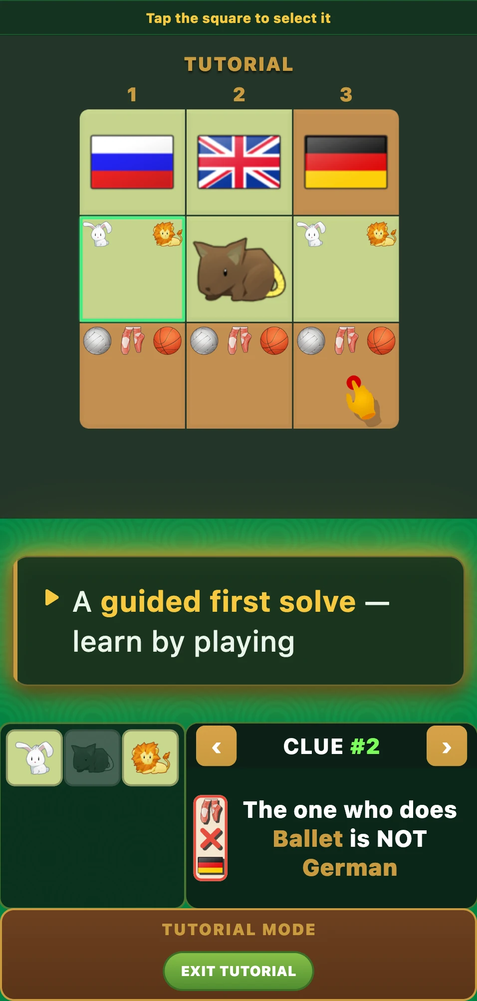 Einstein's Riddle Logic Puzzle screenshot
